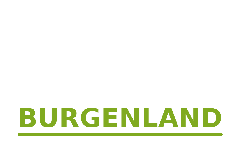 Werbeagentur Burgenland
